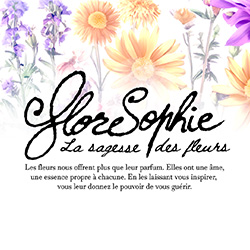 Logo Floresophie